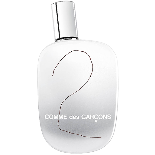 Comme des Garcons 2 di Comme des Garcons Eau de Parfum 100ml (Tester)
